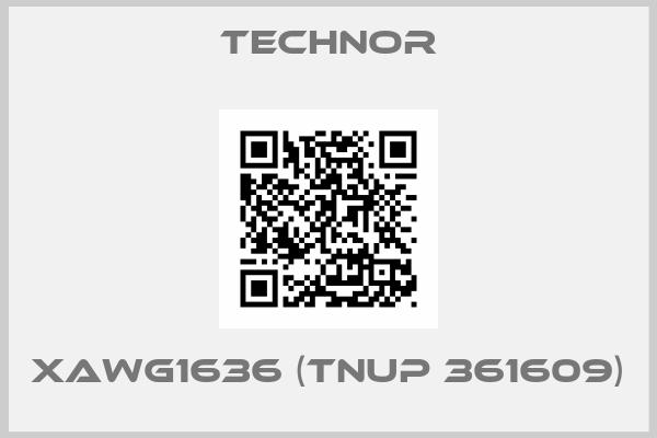 XAWG1636 (TNUP 361609)-big
