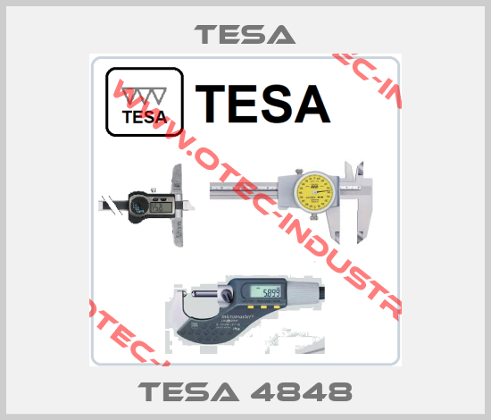 TESA 4848-big
