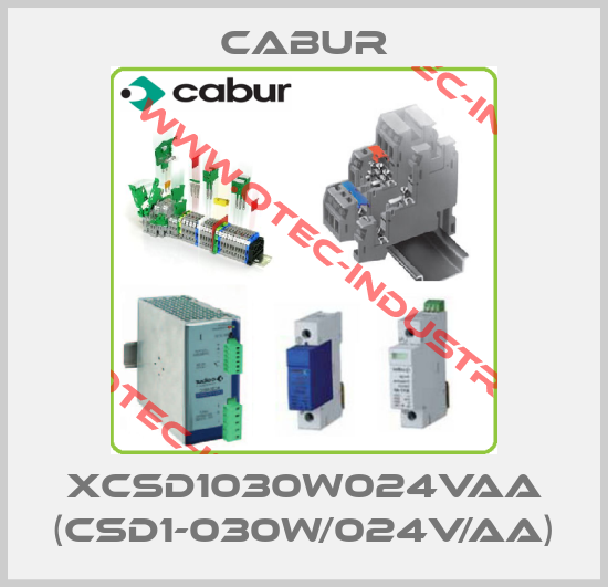 XCSD1030W024VAA (CSD1-030W/024V/AA)-big