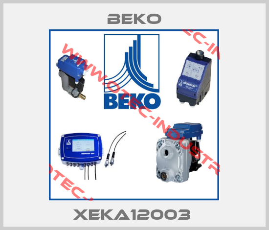 XEKA12003 -big