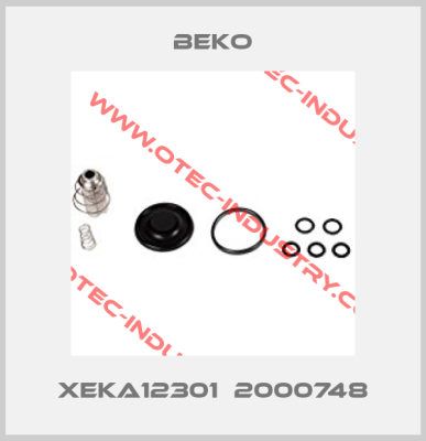 XEKA12301  2000748-big
