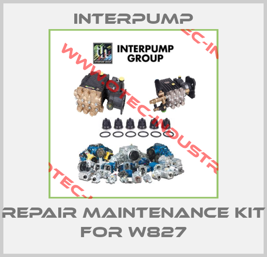 repair maintenance kit for W827-big