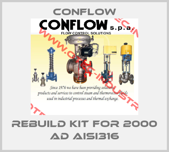 rebuild kit for 2000 AD AISI316-big