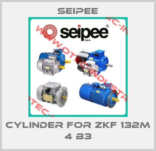 cylinder for ZKF 132M 4 B3-big