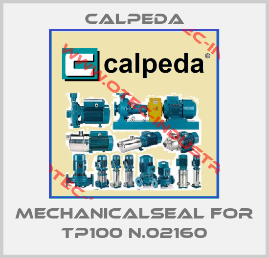 mechanicalseal for TP100 N.02160-big