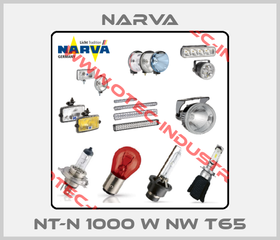 NT-N 1000 W nw T65-big