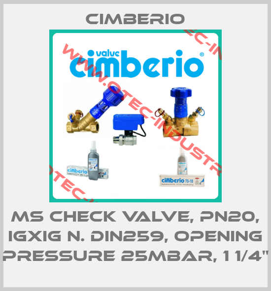 MS check valve, PN20, IGXiG n. DIN259, opening pressure 25mbar, 1 1/4"-big