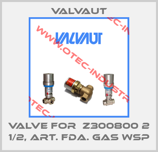valve for  Z300800 2 1/2, ART. FDA. GAS WSP-big