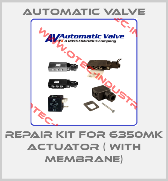 Repair kit for 6350MK actuator-big