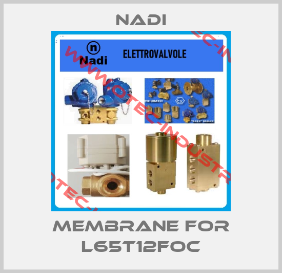membrane for L65T12FOC-big