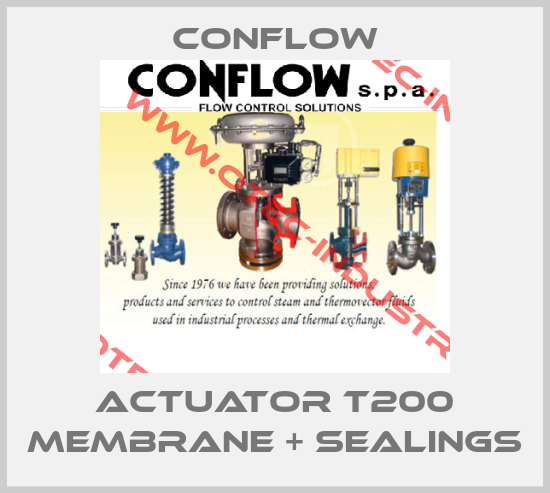 Actuator T200 Membrane + Sealings-big