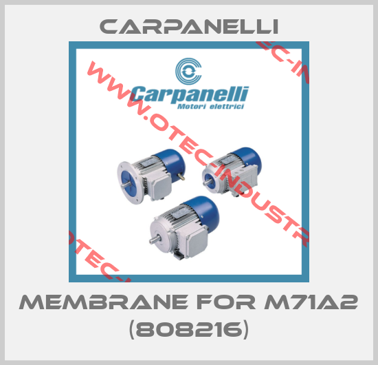 Membrane for M71A2 (808216)-big