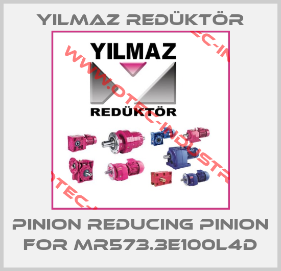 Pinion reducing pinion for MR573.3E100L4D-big