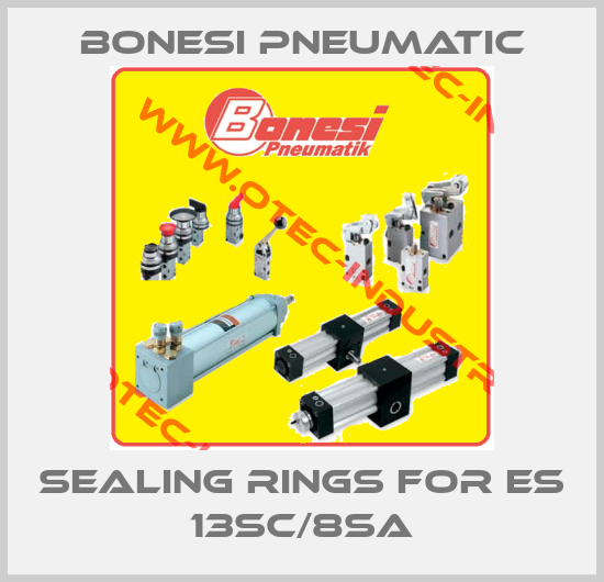 sealing rings for ES 13SC/8SA-big