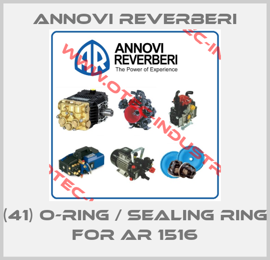 (41) O-ring / sealing ring for AR 1516-big