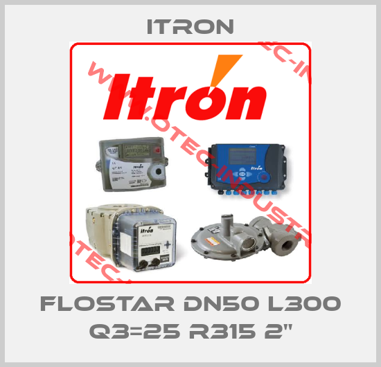 Flostar DN50 L300 Q3=25 R315 2"-big
