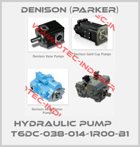 hydraulic pump      T6DC-038-014-1R00-B1-big