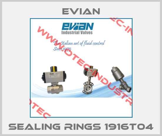 sealing rings 1916T04-big