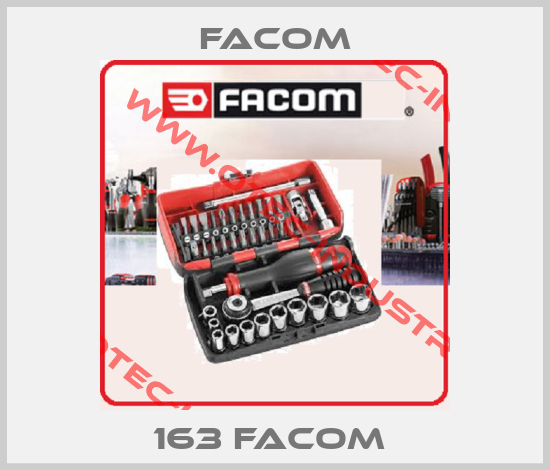163 FACOM -big