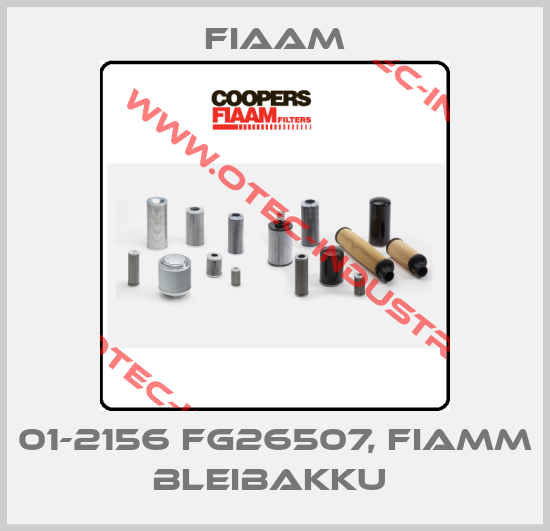 01-2156 FG26507, FIAMM BLEIBAKKU -big
