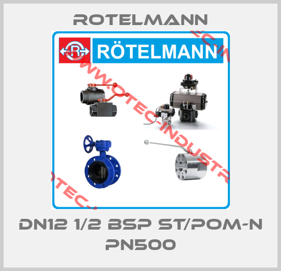 DN12 1/2 BSP St/POM-N PN500-big