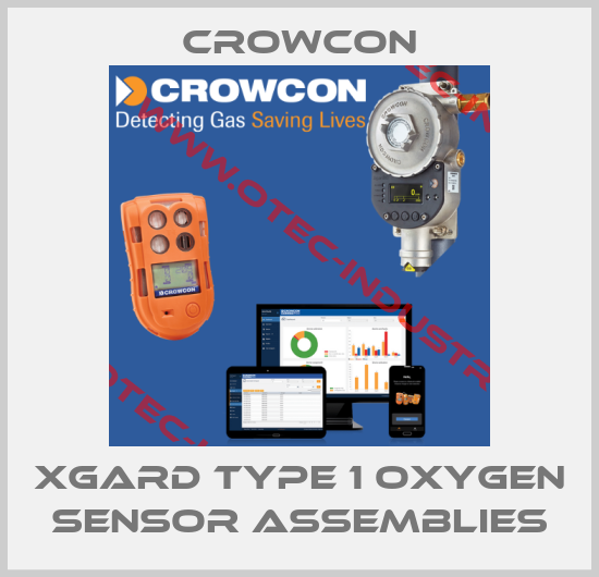 Xgard Type 1 Oxygen sensor assemblies-big