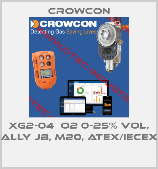 XG2-04  O2 0-25% Vol, ALLY JB, M20, ATEX/IECEx -big