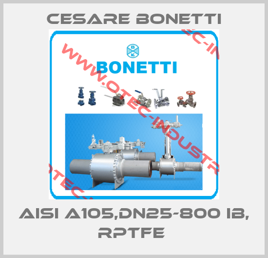 AISI A105,DN25-800 IB, RPTFE -big