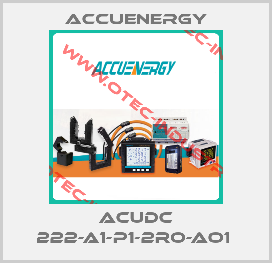 AcuDC 222-A1-P1-2RO-AO1 -big
