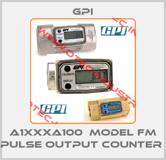 A1XXXA100  model FM Pulse output Counter -big