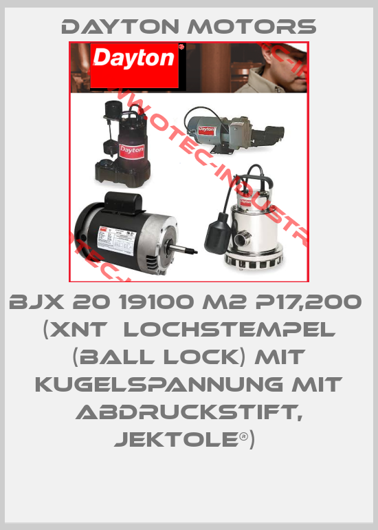 BJX 20 19100 M2 P17,200  (XNT  Lochstempel (Ball Lock) mit Kugelspannung mit Abdruckstift, Jektole®) -big