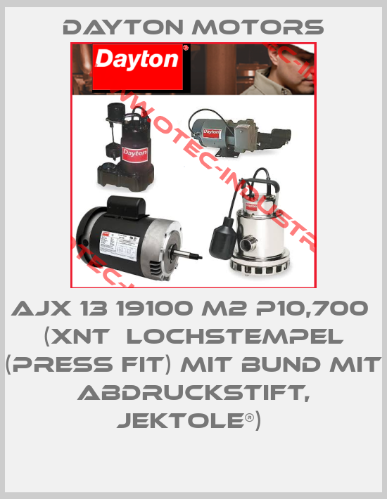 AJX 13 19100 M2 P10,700  (XNT  Lochstempel (Press Fit) mit Bund mit Abdruckstift, Jektole®) -big