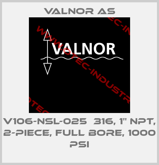 V106-NSL-025  316, 1" NPT, 2-Piece, Full Bore, 1000 PSI-big