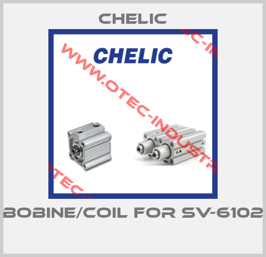 bobine/coil for SV-6102 -big