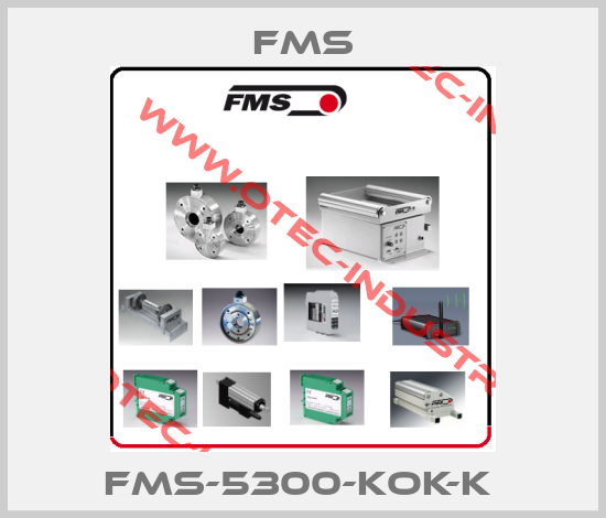 FMS-5300-KOK-K -big