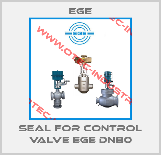 Seal for Control Valve EGE DN80-big