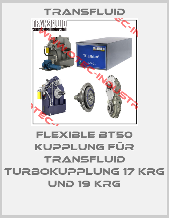 Flexible BT50 Kupplung für Transfluid Turbokupplung 17 KRG und 19 KRG-big
