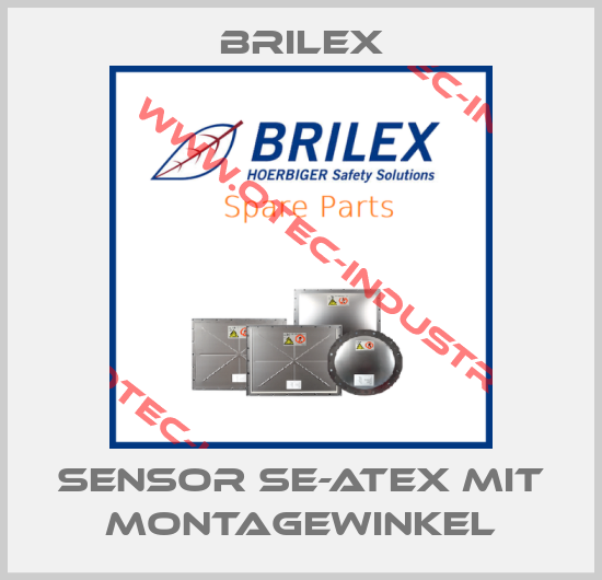 Sensor SE-ATEX mit Montagewinkel-big