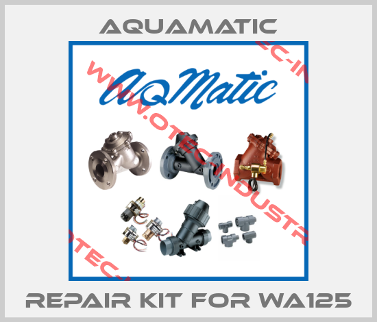 Repair kit for WA125-big