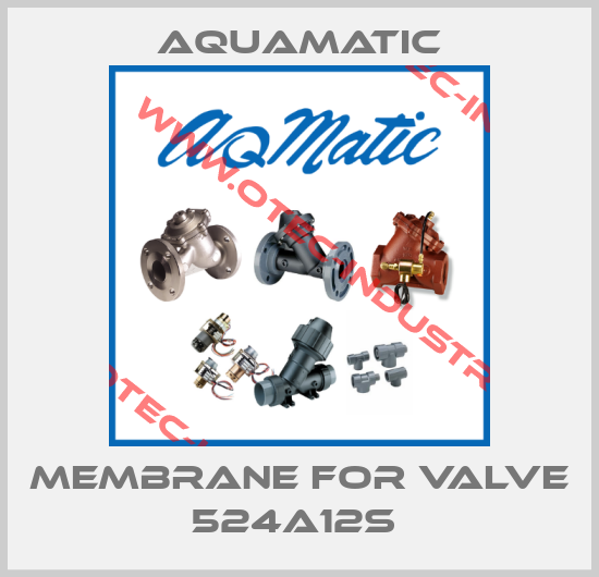membrane for valve 524a12s -big