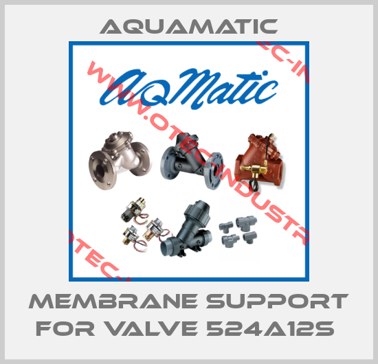membrane support for valve 524a12s -big