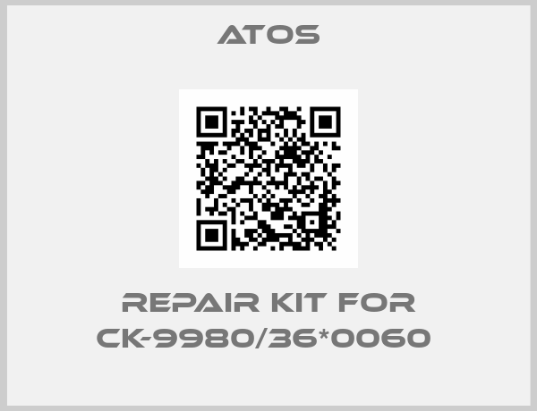 REPAIR KIT FOR CK-9980/36*0060 -big