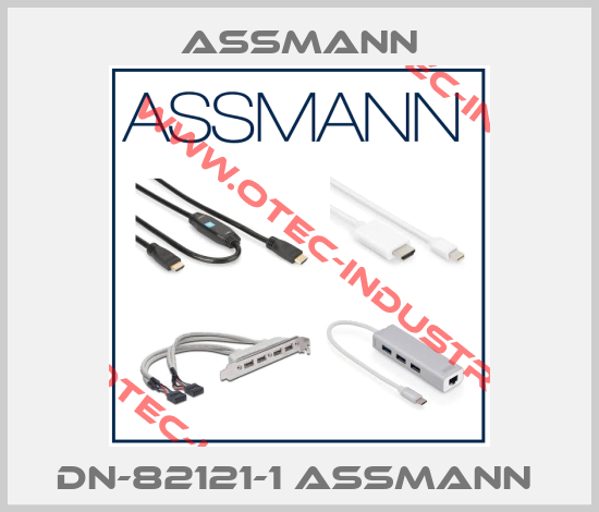 DN-82121-1 Assmann -big