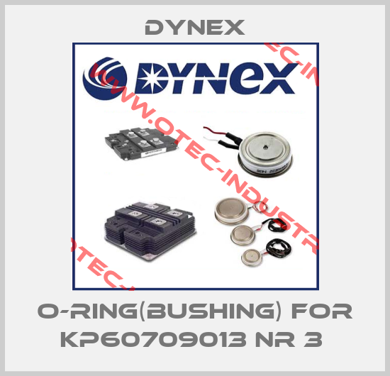O-Ring(bushing) for KP60709013 Nr 3 -big