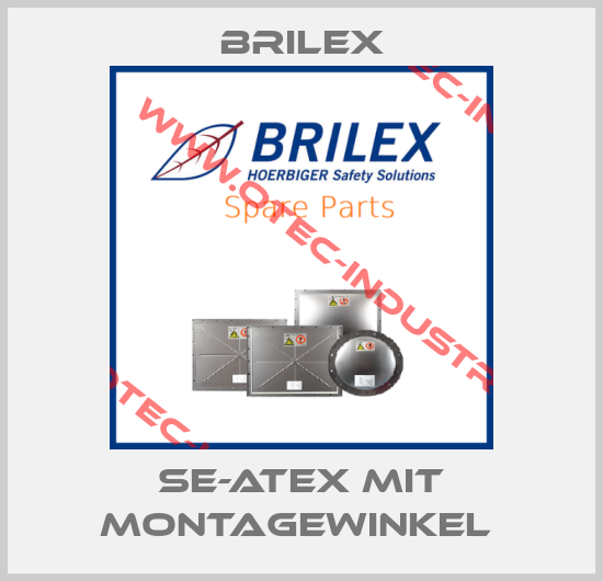 SE-ATEX mit Montagewinkel -big