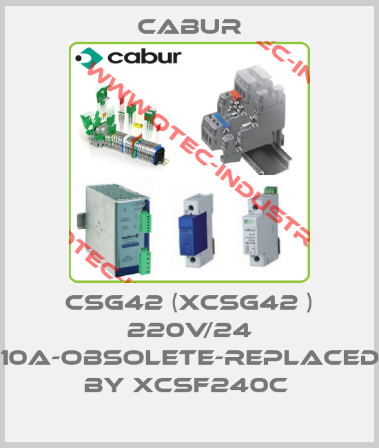 CSG42 (XCSG42 ) 220V/24 10A-obsolete-replaced by XCSF240C -big