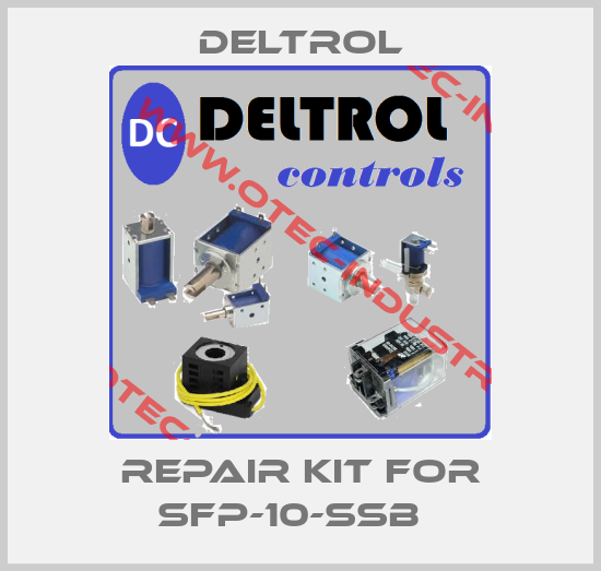 Repair kit for SFP-10-SSB  -big