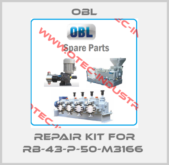 Repair kit for RB-43-P-50-M3166 -big