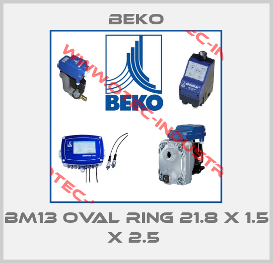 BM13 OVAL RING 21.8 X 1.5 X 2.5 -big