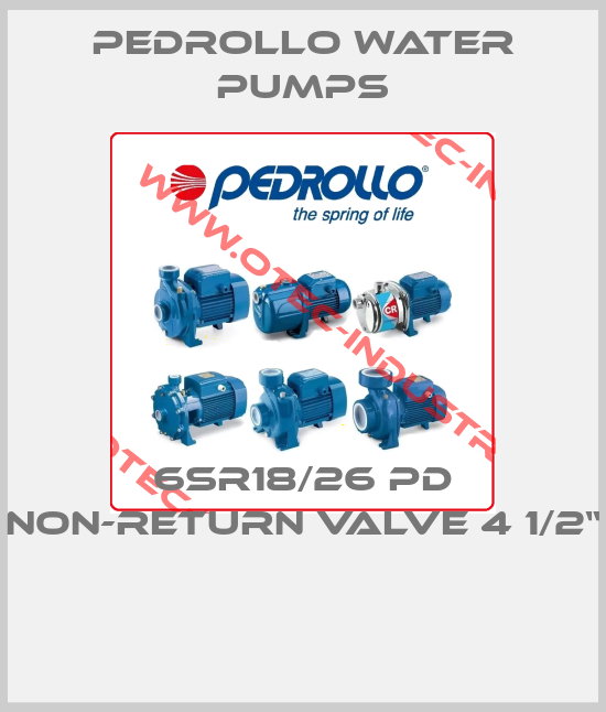 6SR18/26 PD Non-return valve 4 1/2“ -big